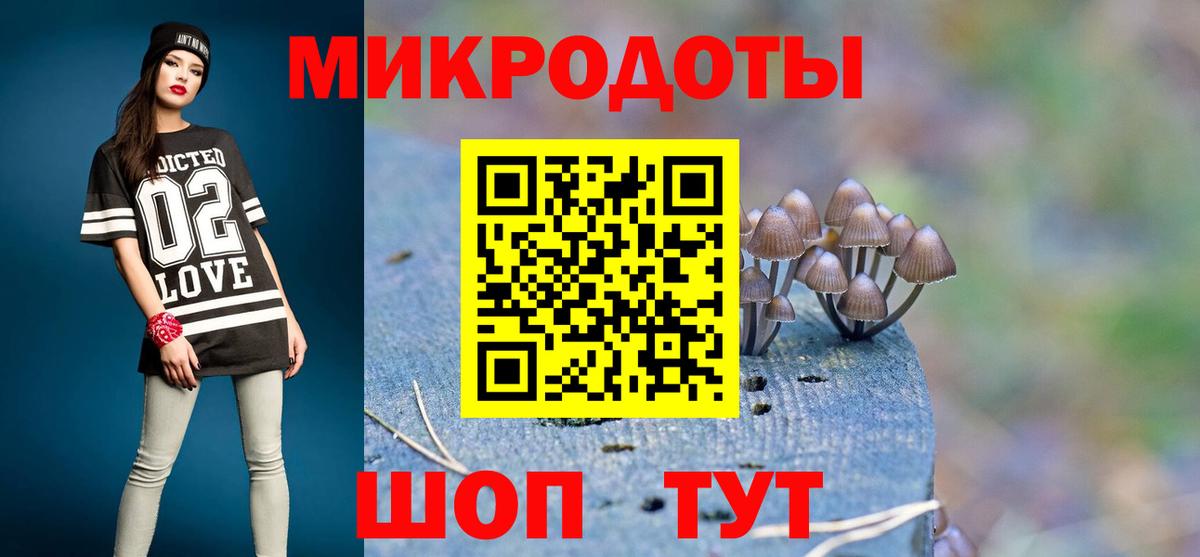 Галлюциногенные грибы Psilocybine cubensis  Галлюциногенные грибы GOLDEN TEACHER  Новоалтайск  Вход с VPN 