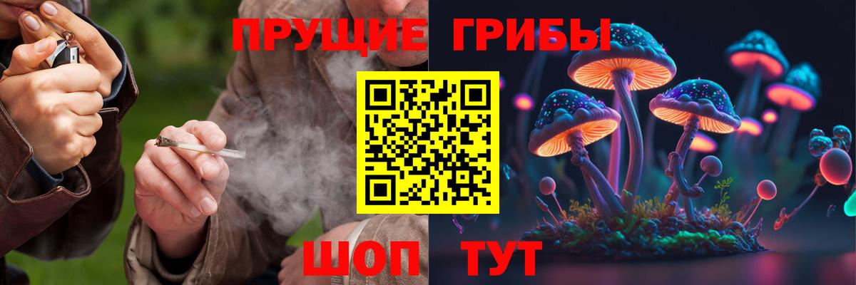 Псилоцибиновые грибы GOLDEN TEACHER Новоалтайск